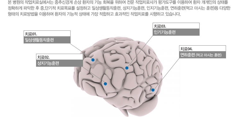 본 병원의 작업치료실에서는 중추신경계 손상 환자의 기능 회복을 위하여 전문 작업치료사가 평가도구를 이용하여 환자 개개인의 상태를 정확하게 파악한 후 중,단기적 치료목표를 설정하고 일상생활동작훈련, 상지기능훈련, 인지기능훈련, 연하훈련(먹고 마시는 훈련)등 다양한 형태의 치료방법을 이용하여 환자의 기능적 상태에 가장 적합하고 효과적인 작업치료를 시행하고 있습니다. 