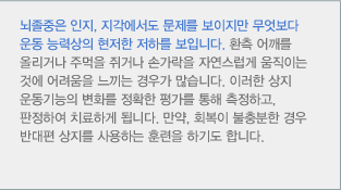 뇌졸중은 인지, 지각에서도 문제를 보이지만 무엇보다 운동 능력상의 현저한 저하를 보입니다. 환측 어깨를 올리거나 주먹을 쥐거나 손가락을 자연스럽게 움직이는 것에 어려움을 느끼는 경우가 많습니다. 이러한 상지 운동기능의 변화를 정확한 평가를 통해 측정하고, 판정하여 치료하게 됩니다. 만약, 회복이 불충분한 경우 반대편 상지를 사용하는 훈련을 하기도 합니다. 